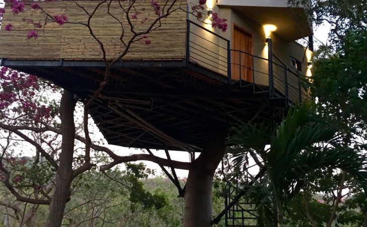 Nicaragua Tree House | Consulting Engineer